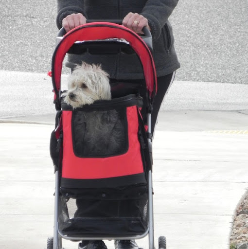 Gary Endicott Photo 5