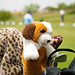 Michael Eimer Photo 12