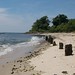 Theresa Beach Photo 14