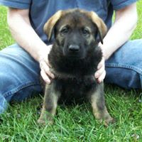 Christine Greenway Photo 5