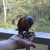 Tracy Roscoe Photo 2