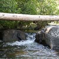Russell Brenner Photo 4