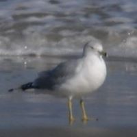 Sandra Stuckey Photo 20