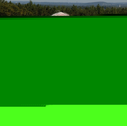 Bob Shepherd Photo 39 Bob Shepherd Photo 39