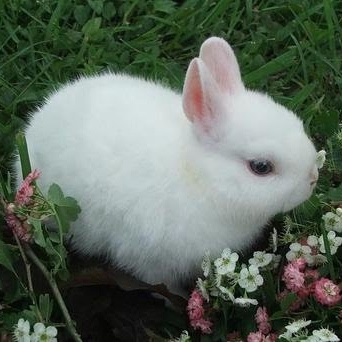 Cheri Bailey Photo 9