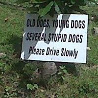 Rodney Frederick Photo 9 Rodney Frederick Photo 9