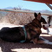 Jackie Shepherd Photo 16