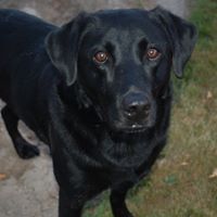 Belle Clark Photo 26