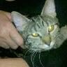 Lisa Rhoads Photo 9
