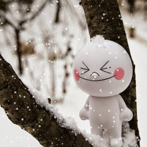 Jim Chen Photo 21 Jim Chen Photo 21