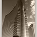Donald Wynn Photo 8