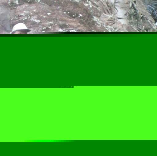 Cynthia Kimball Photo 22