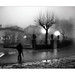 Luis Chacon Photo 30