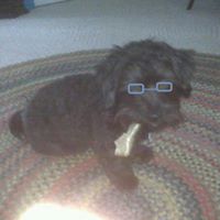 Laurie Weber Photo 5