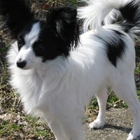 Frederick Neely Photo 5