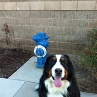 Denise Jensen Photo 22