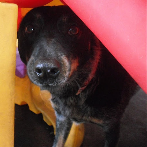 Jeannette Hood Photo 2