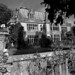 Alfred Black Photo 5