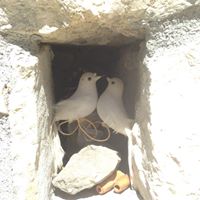 Christina Pedersen Photo 3