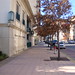 Sheryl Davis Photo 9