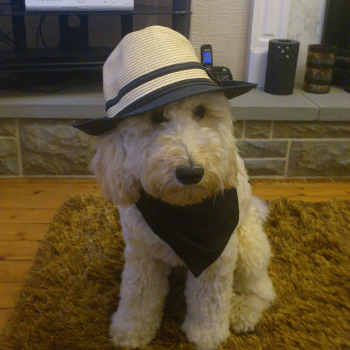 Jamie Manning Photo 26