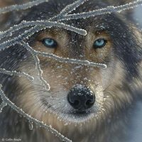 Victoria Caldwell Photo 25