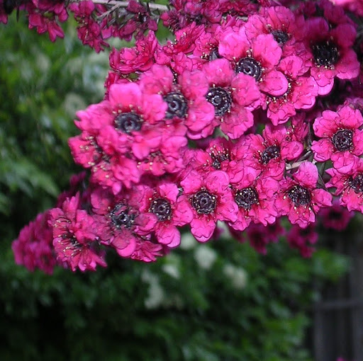 Joanne Moran Photo 18