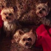 Willis Watkins Photo 15