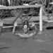 David Andrus Photo 29