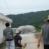 Jong Ham Photo 8
