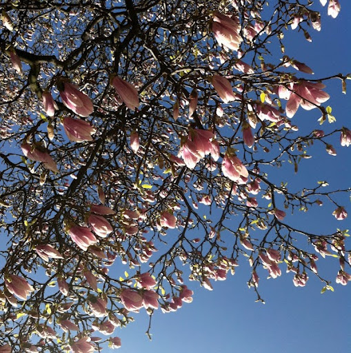 Janet Michalski Photo 11