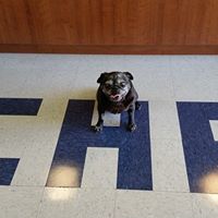 Kristen Christiansen Photo 8