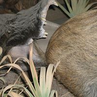 Raymond Rapp Photo 7