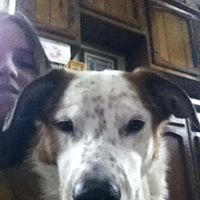 Samantha Moeller Photo 9