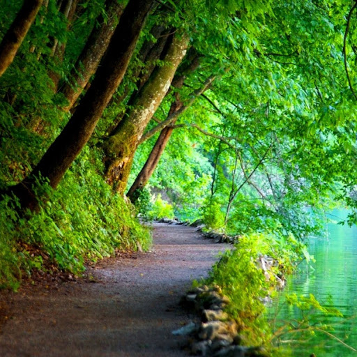 Blake Harvey Photo 7