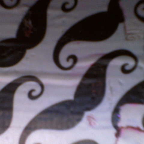Elizabeth Rickert Photo 13