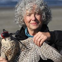 Suzanne Staples Photo 21