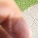 Raymond Grove Photo 21