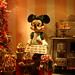 Minnie Cook Photo 19
