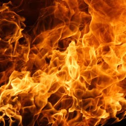 Vincent Reyes Photo 21