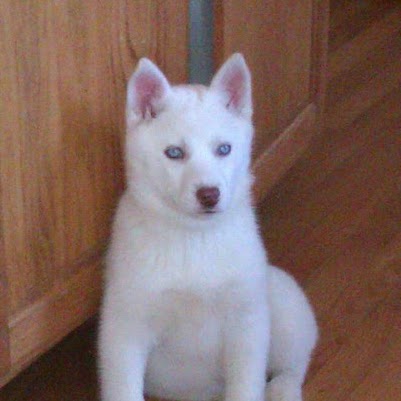 Mary Macfarlane Photo 13