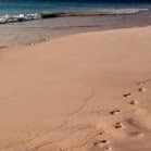 Joe Workman Photo 34