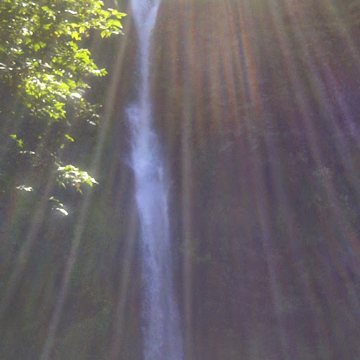 Catherine Watkins Photo 6