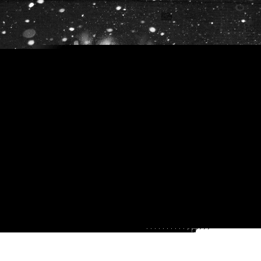 Dianne Harris Photo 27