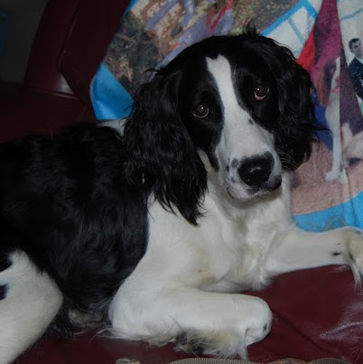 Cindy Livingston Photo 11