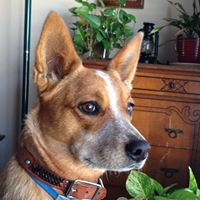 Ken Rutledge Photo 21 Ken Rutledge Photo 21