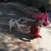 Sharon Benson Photo 41