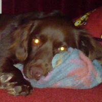 Debbie Kemp Photo 26