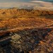 Allan Johnston Photo 9