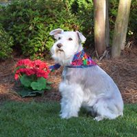 Sadie May Photo 15
